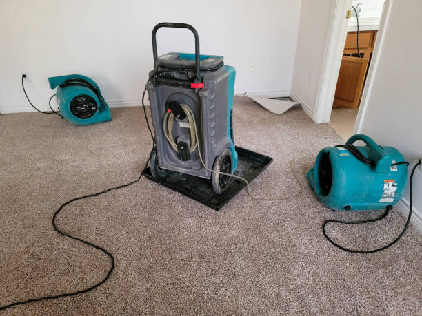 Best Residential water damage restoration  in Luverne, MN