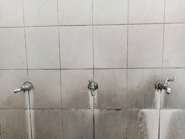 Best Ceiling water damage repair  in Luverne, MN