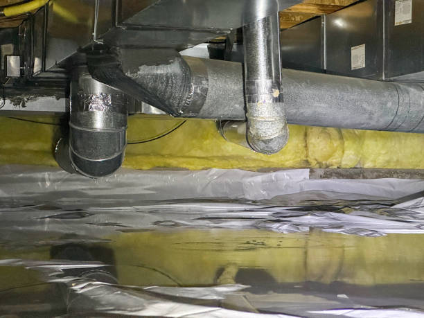 Best Local water damage restoration  in Luverne, MN