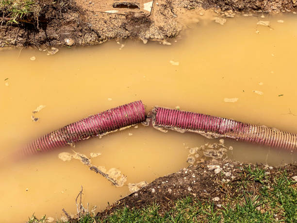 Best Water damage contractors near me  in Luverne, MN