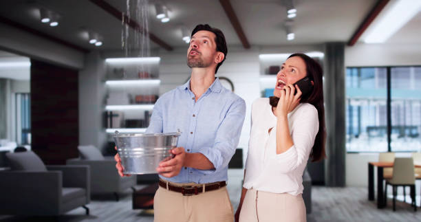 Best Water damage restoration specialists  in Luverne, MN